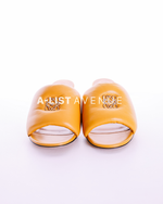 Loewe Anagram 50 Padded Mules Size 36