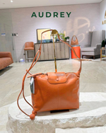 F10 AUDREY Cowhide LC Bag in Brown