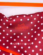 Hermès Maxi Twilly Alpha / Dot Silk Scarf