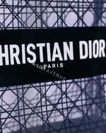 DIOR MESH WHITE V.2