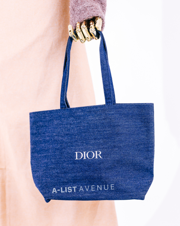 DIOR DENIM HANDBAG SMALL