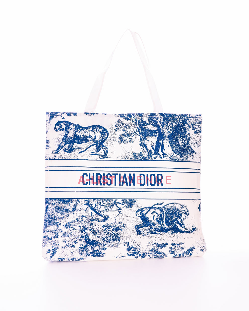 Dior Tote Blue Canvas