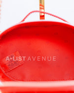 Dior Red Vanity Sling Bag